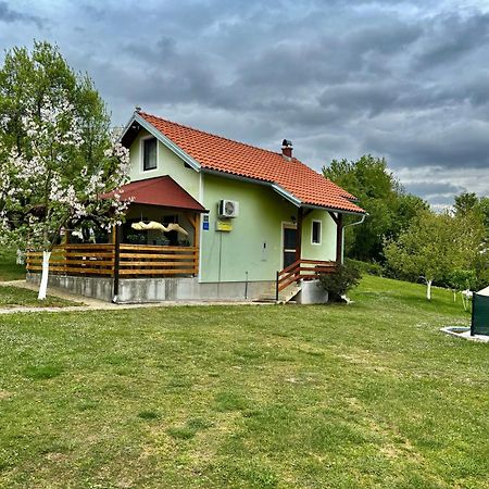 Apartment Valentina Brocanac Екстер'єр фото