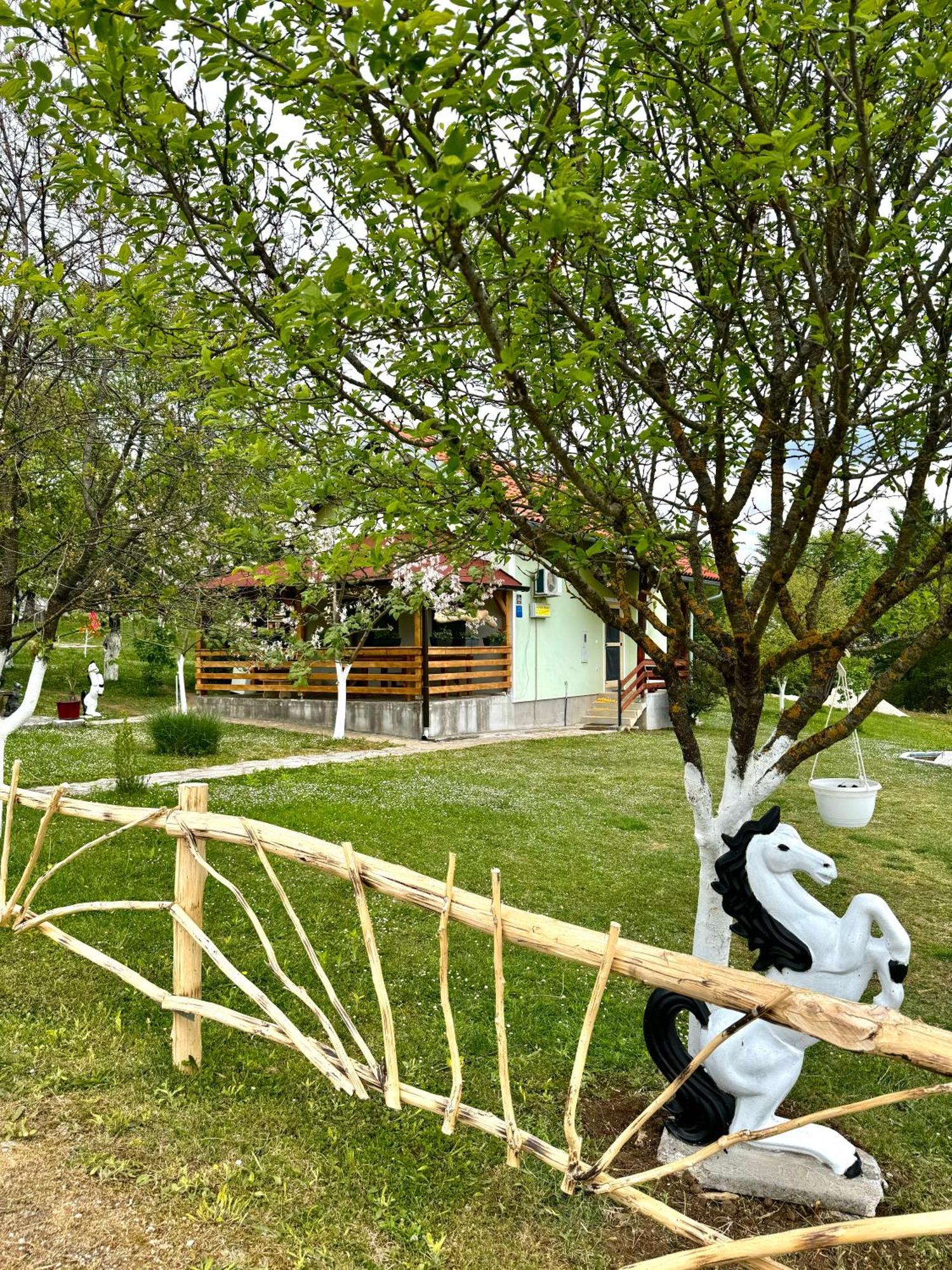 Apartment Valentina Brocanac Екстер'єр фото